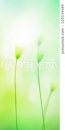Green blurred natural background. Abstract green nature wallpaper 120334484