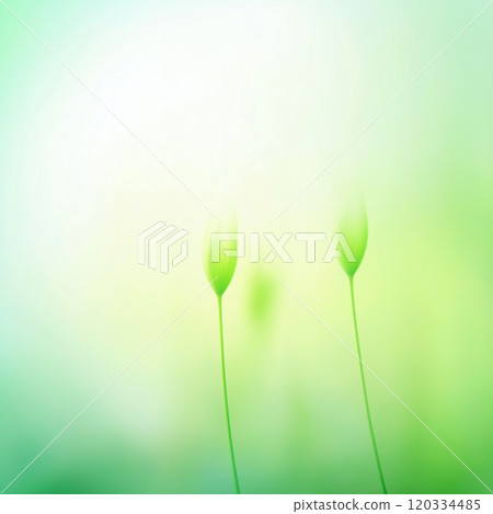 Green blurred natural background. Abstract green nature wallpaper Green blurred natural background. Abstract green nature wallpaper 120334485