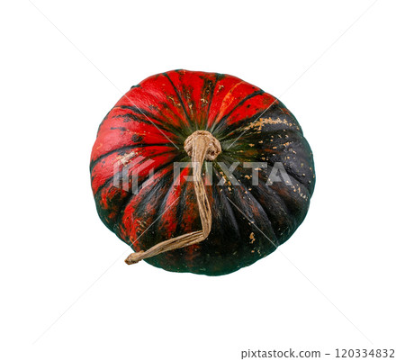 Decorative pumpkin isolated on white background Decorative pumpkin isolated on white background 120334832