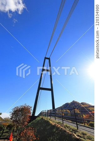 Shiobara Valley with autumn leaves Momiji Valley Suspension Bridge / Nasu-Shiobara City, Tochigi Prefecture 120334980