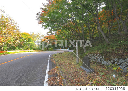 Omagari Maple Trees / Momiji Line, Nasushiobara City, Tochigi Prefecture Omagari Maple Trees / Momiji Line, Nasushiobara City, Tochigi Prefecture 120335038