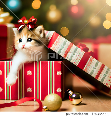 Kitten Emerging from Christmas Gift Kitten Emerging from Christmas Gift 120335552