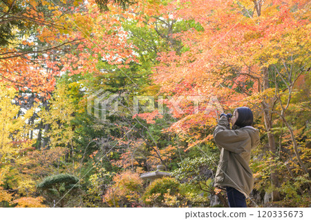 Women taking red leaves Women taking red leaves 120335673