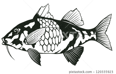 鹹水魚老人剪紙圖案貼上圖案著色圖案 鹹水魚老人剪紙圖案貼上圖案著色圖案 120335923