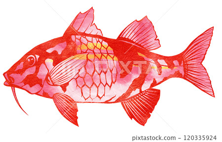 A stylish paper cut-out illustration of a saltwater fish man 120335924