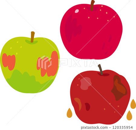 未成熟的蘋果、成熟的蘋果和枯萎的蘋果 120335954