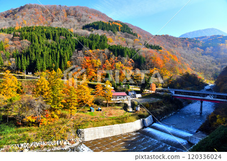 Akiyamago Nakatsugawa/Yashikibashi area (Sakae Village, Nagano Prefecture) [2024.11] 120336024
