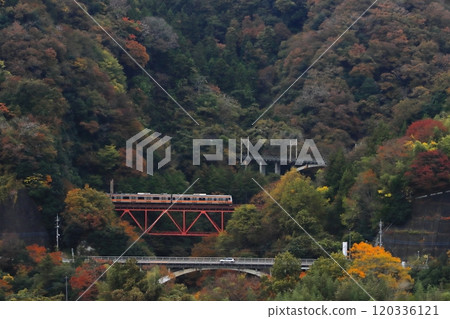 E233系列車在美麗的紅葉中行駛在中央本線的山地段_2024年11月16日拍攝 E233系列車在美麗的紅葉中行駛在中央本線的山地段_2024年11月16日拍攝 120336121