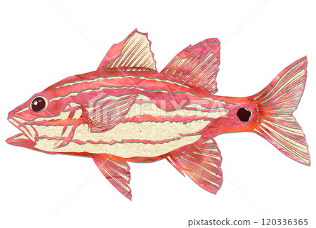 Cool paper cut-out illustration of a giant sablefish Cool paper cut-out illustration of a giant sablefish 120336365