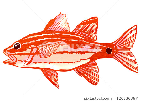 色彩繽紛的鹹水魚的剪紙插圖 色彩繽紛的鹹水魚的剪紙插圖 120336367