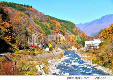 中津川秋山鄉/從屋敷橋望下游（長野縣榮村） [2024.11] 120336390