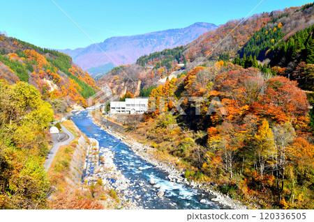 Akiyamago Nakatsugawa / View downstream from near Yashikibashi Bridge (Sakae Village, Nagano Prefecture) [2024.11] 120336505