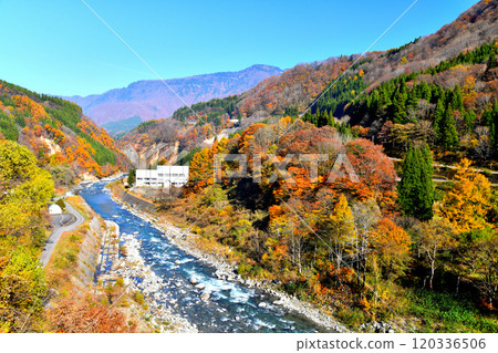 Akiyamago Nakatsugawa / View downstream from near Yashikibashi Bridge (Sakae Village, Nagano Prefecture) [2024.11] 120336506