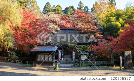 Autumn deepens at Chusonji Temple, Benzaiten Hall bathed in the morning glow, Iwate Prefecture 120336537