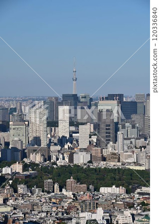 澀谷 Scramble Square SHIBUYA SKY 360 度景觀 120336840