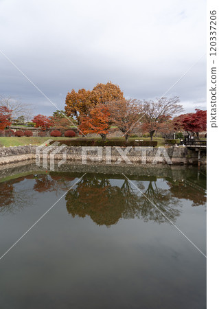 Goryokaku moat and autumn leaves 120337206
