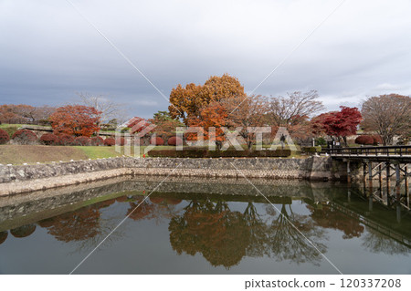 Goryokaku moat and autumn leaves 120337208