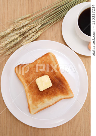 吐司的形象 120337234