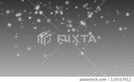 Christmas snowflakes on a transparent background. Snow flakes, snow background. Snow flakes, snow background. heavy snowfall, snowflakes in different shapes and forms. Christmas snowflakes on a transparent background. Snow flakes, snow background. Snow flakes, snow background. heavy snowfall, snowflakes in different shapes and forms. 120337912