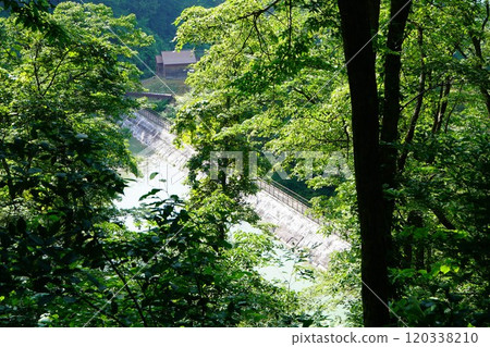 從桑崎山登山道看到的馬川水庫堤防 120338210