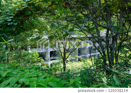 從桑崎山登山道看到的馬川水庫堤防 從桑崎山登山道看到的馬川水庫堤防 120338214