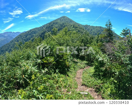 從登山道看到桑崎山頂 從登山道看到桑崎山頂 120338410