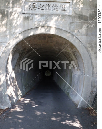 濱浦隧道 120338644