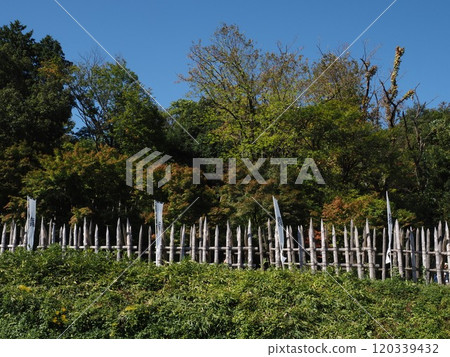 Ishida Mitsunarijin trace 120339432