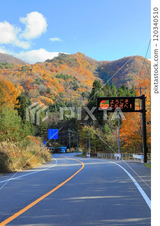Autumn leaves along Aizu Nishi Kaido Road, Nikko City, Tochigi Prefecture 120340510