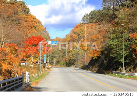 會津西街道的紅葉 / 栃木縣日光市 會津西街道的紅葉 / 栃木縣日光市 120340515