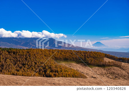 Mount Fuji and the Yatsugatake mountain range from Kirigamine Fujimidai 120340826