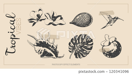 Tropical flowers vector with halftone effect. 120341096
