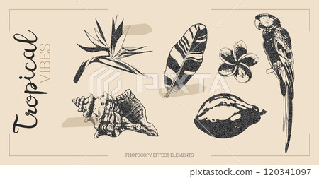 Tropical flowers and leaves vector illustration set 120341097