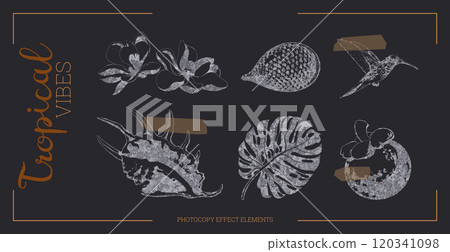 Tropical flowers vector with halftone effect. 120341098