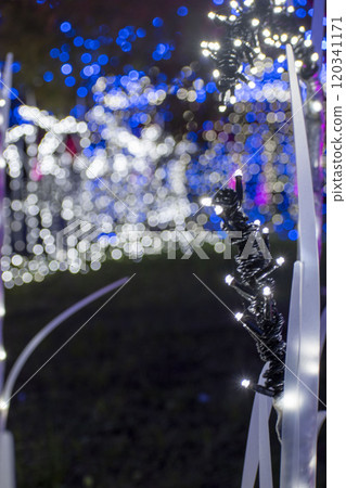 Rice illumination 120341171