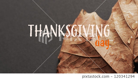 Image of thanksgiving day text over autumn leaf on grey background 120341294