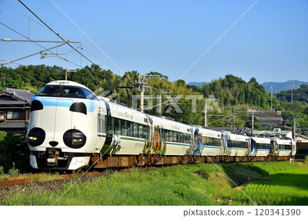 熊貓包裝，287系列特急黑潮 120341390