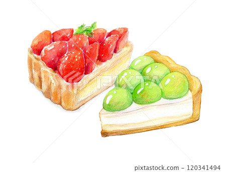 水彩插圖兩種水果餡餅 120341494