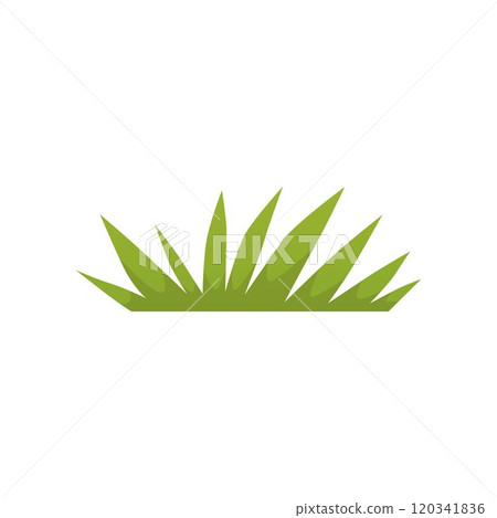 Green grass flat vector, cartoon bush of leaves, garden foliage, herbs bunch, summer field flora, nature game props 120341836