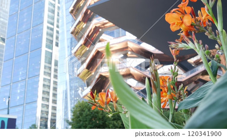New York City, Hudson Yards, urban architecture in Chelsea, Manhattan Midtown, USA. Flowers bloom. 120341900