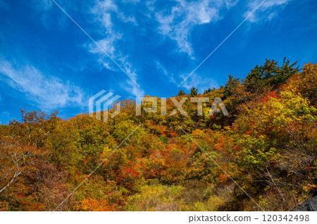 最好的時間看 120342498