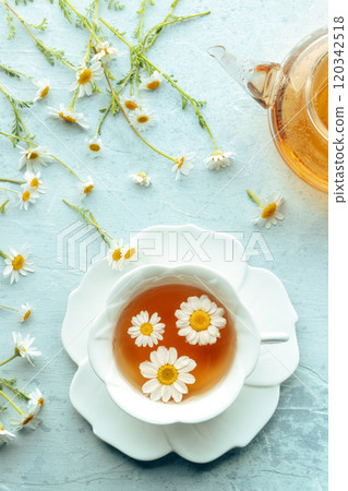 Chamomile flower tea. A tea cup and a tea pot with fresh medicinal flowers Chamomile flower tea. A tea cup and a tea pot with fresh medicinal flowers 120342518