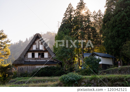《富山縣》秋天的相倉合掌村、五簇山 120342521