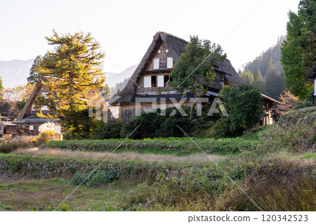 《Toyama Prefecture》Ainokura Gassho-style Village and Gokayama in autumn 120342523