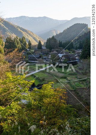《富山縣》秋天的相倉合掌村、五簇山 120342536