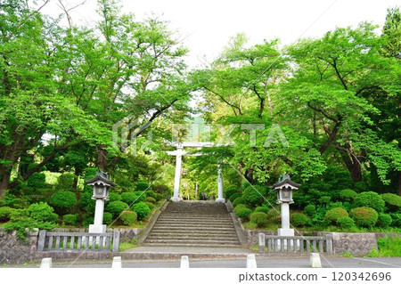 Yahiko Shrine Approach (Niigata Prefecture) Yahiko Shrine Approach (Niigata Prefecture) 120342696