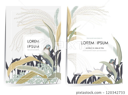 Vector illustration of frame set of a Silver Grass Field with Little Bird Vector illustration of frame set of a Silver Grass Field with Little Bird 120342733