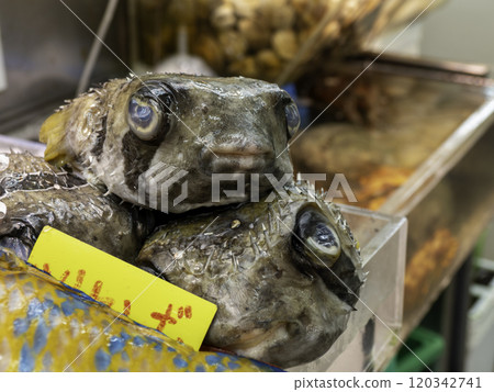 Seafood sold at a market in Okinawa 120342741