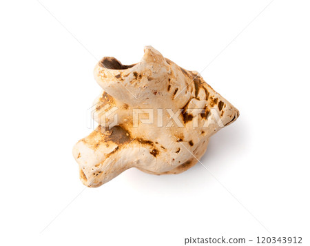 Aquarium Decoration, Artificial Driftwood, Shelter House for Aquarium Fish, Fishbowl Design Element 120343912