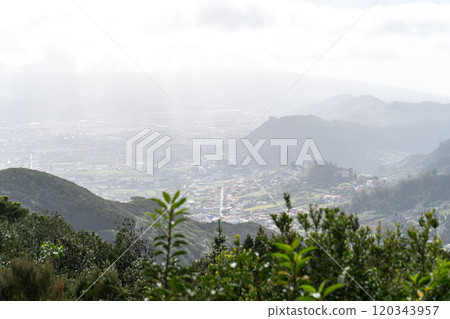 Laurel Park rural de Anaga, Tenerife lush greenery, walking paths, recreational area, local flora public park Laurel Park rural de Anaga, Tenerife lush greenery, walking paths, recreational area, local flora public park 120343957